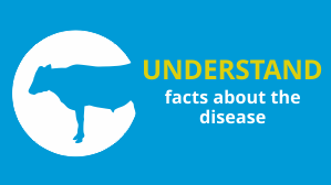 Understand facts about TB and badgers