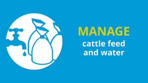 manage cattle feed and water