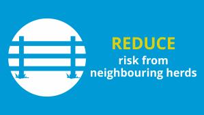 Reduce risk from neighbouring herds