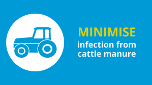 Minimise infection form cattle manure