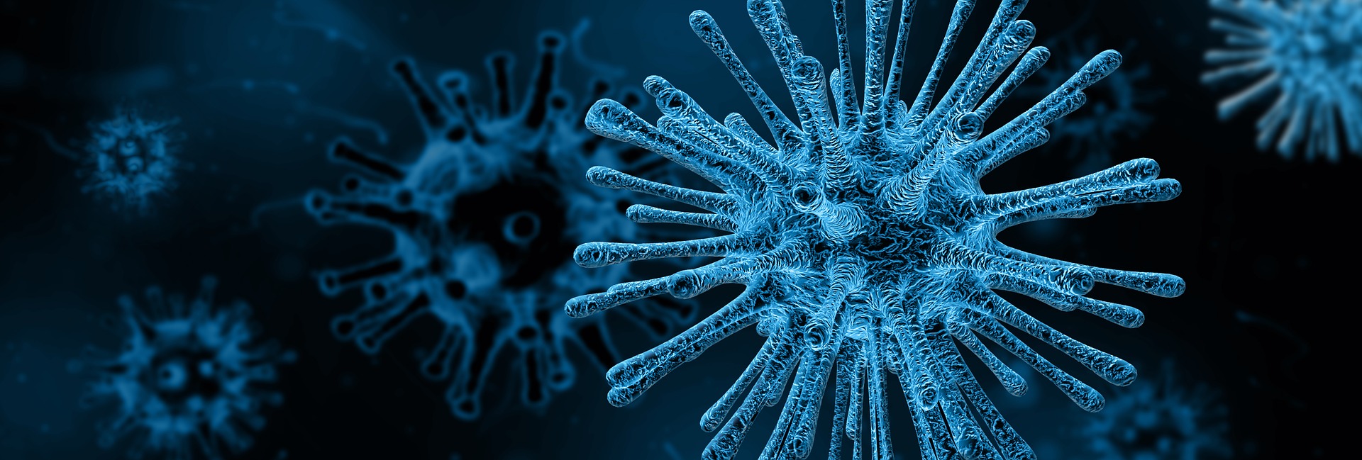 Bacterial, viral and fungal diseases