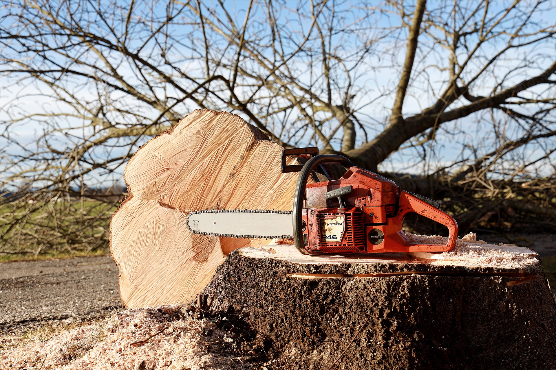 COSHH in forestry and arboriculture