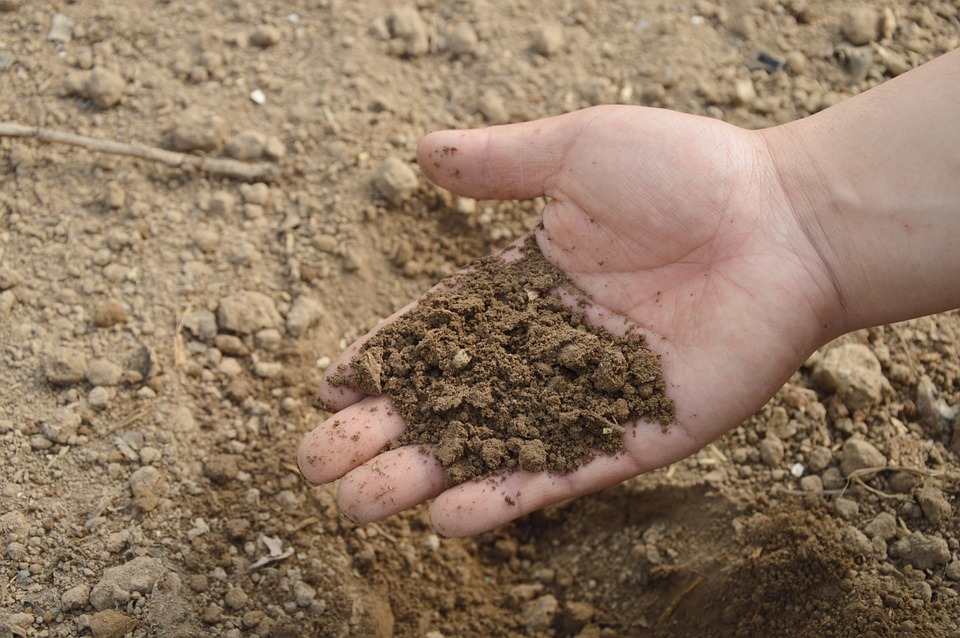 Soil treatments and fertilisers